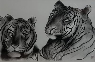 two tigers that are standing next to each other