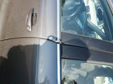 a dog that is sitting in the driver ' s seat of a car