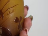 a person holding a glass with a picture of a bird on it