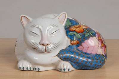 a white cat that is laying down on a table