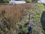 un tuyau au milieu d'un champ, près d'une clôture