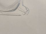 pencil drawing of a cat sitting on top of a table