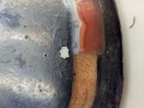 a close up of a plate with a banana on it