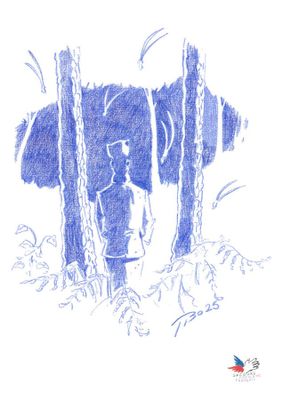 Thibault Rouges - "Les fougères" - Dessin original sur feuil…