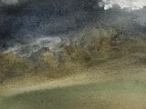a watercolor painting of a horse in a field