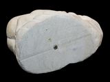 a white rock with a hole in it on a black background