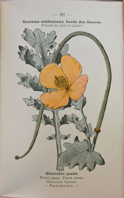 un livre ouvert sur lequel figure l'image d'une fleur jaune