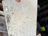a person holding a piece of paper in their hand