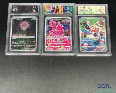 quatre cartes à collectionner Pokémon différentes, présentées dans des étuis en plastique transparent posés sur un fond noir