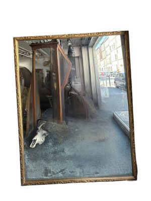 a cat that is laying on the ground in front of a mirror
