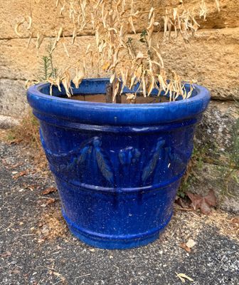 une jardinière bleue posée par terre, contenant des plantes fanées