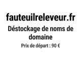 Photo 1/1 du lot