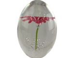 a glass vase with a red flower inside of it