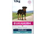 Alimentation Eukanuba pour chiens adultes de grande race