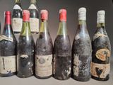 bottles of wine are lined up in a row on a table