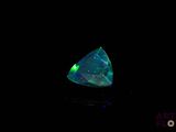 an oplite in the dark with a black background