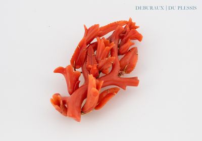 an orange flower that is on a white surface