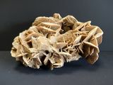 dried mushrooms on a black surface with a gray background