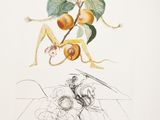 a drawing of a bird sitting on top of a tree branch