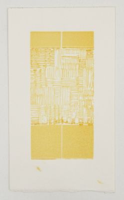 an image of a yellow and white print on a white wall