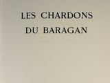Photo 2/5 du lot