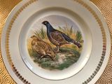 a plate with a picture of two birds on it