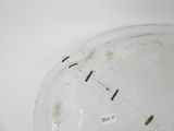 a close up of a white plate with a lot of bugs on it