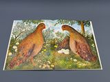 two birds that are sitting in the grass together