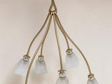 lustre en laiton et verre dépoli à cinq lumières