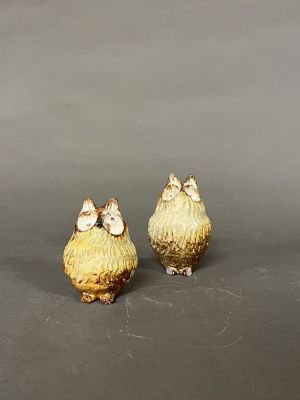 deux petits oiseaux dorés sont posés sur une surface grise
