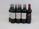 six bouteilles de vin sont alignées sur une surface blanche
