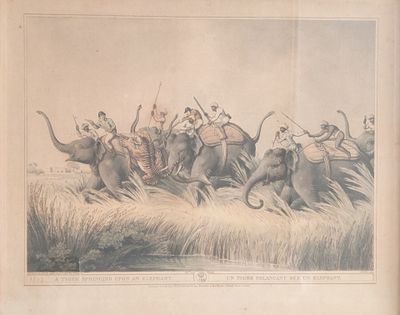 un dessin représentant un groupe d'hommes chevauchant des éléphants