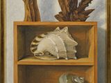 une peinture à l'huile représentant une étagère sur laquelle sont disposés des coquillages et d'autres objets