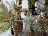 many different types of plants in vases on the table