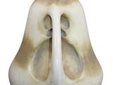 a white vase with a face on it on a white background