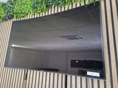 un grand miroir accroché au mur, sur lequel pousse une plante