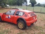 a red rally car that is parked in the grass
