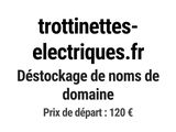 Photo 1/1 du lot