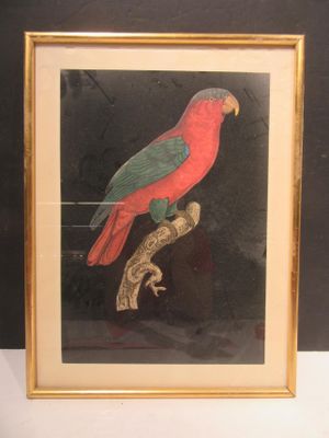 painting of a red and green parrot perched on a branch