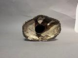 a small shell with a hole in it sitting on a table