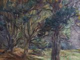 une peinture à l'huile représentant des arbres dans une zone boisée avec une rivière en arrière-plan