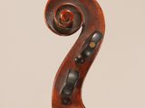 a close up of the back of a violin with a scroll