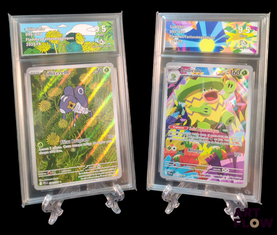 deux cartes Pokémon exposées dans un étui en plastique