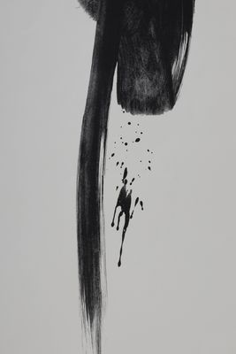 un dessin en noir et blanc représentant un singe aux longs poils