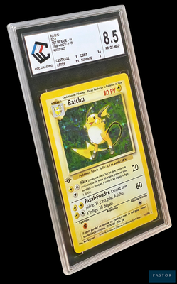 une image d'une carte Pokémon dans un étui en plastique