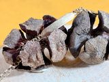a close up of two pine cones on a table