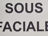 Photo 1/1 du lot