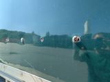 a man taking a picture of himself in the reflection of a train window