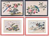 quatre photos encadrées représentant des oiseaux et des fleurs sur fond blanc