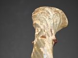 a close up of a bone with a brown substance on it
